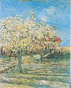 Vincent Van Gogh Flowering orchard France oil painting artist